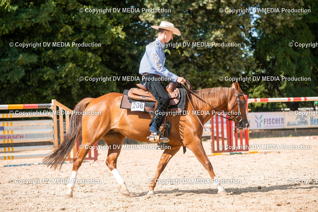 EWP_6887 | dv-media-shop - Realisiert mit Pictrs.com