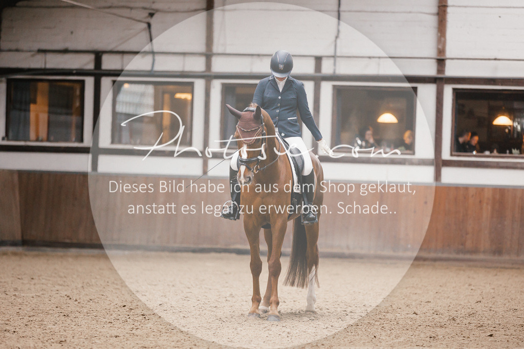 3I6A6179 | Stimmungsvolle Portraits und Reitsportfotografie im Ruhrgebiet und im Münsterland.

Pferdefotografie, Hundefotografie, Tierfotografie, Reportagen, Portraits von Tier und Mensch, Turnierfotografie in Bochum, Recklinghausen, Marl, Haltern am See, Dülmen.. - Realisiert mit Pictrs.com