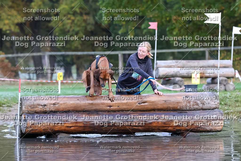 Dog Paparazzi - Strongdog 10-25-6347 | Dog Paparazzi Jeanette Grottendiek Fotografie & Videografie - Realisiert mit Pictrs.com