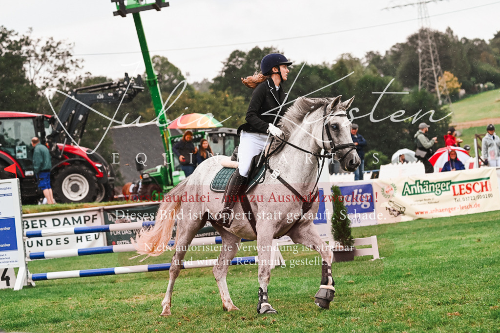 DSC_6624 | Pferde- und Turnierfotografie in Westsachsen. Pferdeportraits, Auftragszeichnungen und intuitive Kunst.
