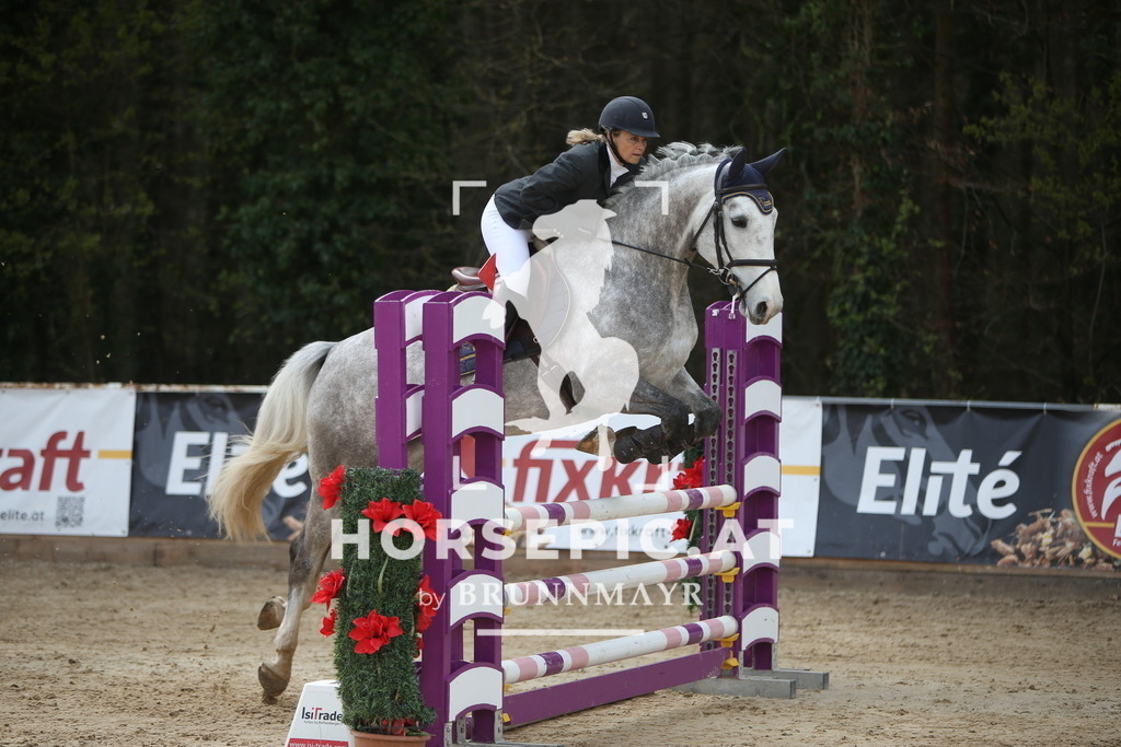 PP017192 | Willkommen bei Brunnmayr - Design & Fotografie – Ihrem Spezialisten für Reitturniere und Pferdeveranstaltungen in Oberösterreich, Salzburg und Bayern! Seit über 17 Jahren sind wir leidenschaftlich dabei.