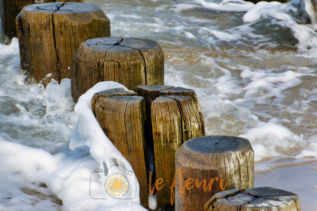 DSC_0372-NEF_DxO_DeepPRIME (1) | Dies ist der Shop von Florian Blum - le fleuri. Langenthal, Bern, Schweiz. Sie können hier meine oder ihre eigenen Fotos als Fotoprodukte kaufen. Tassen, Schlüsselanhänger, Taschen etc. können Sie hier gestalten.  - Realisiert mit Pictrs.com