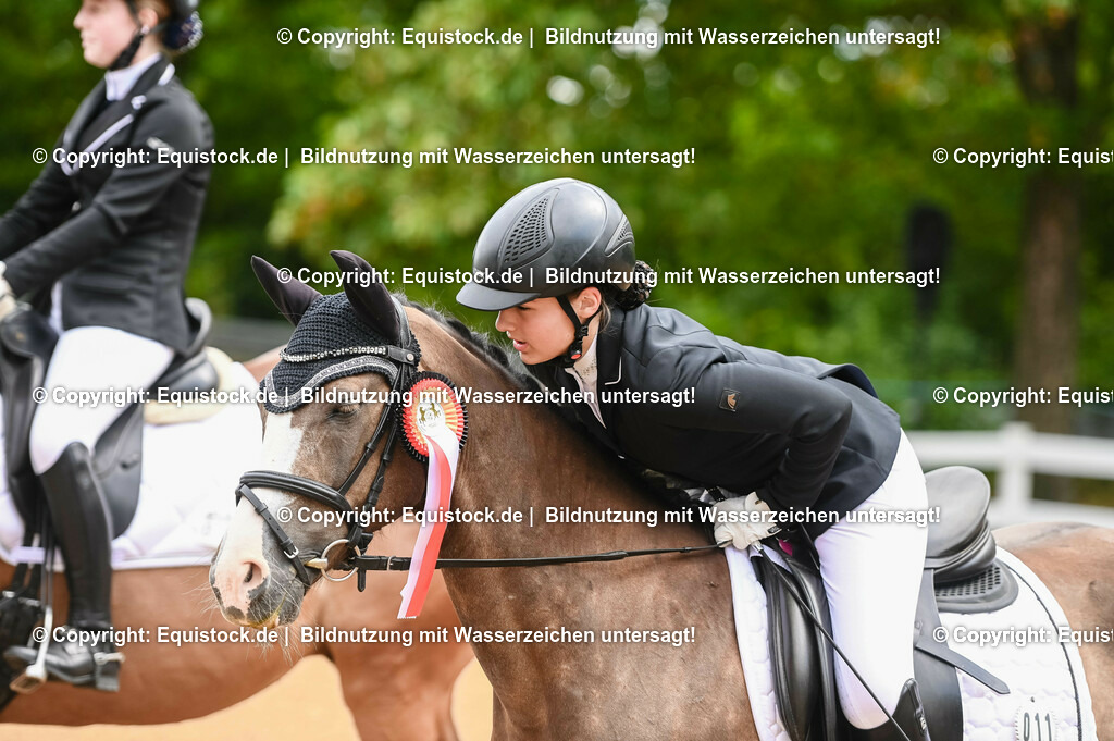 20230716_10-1_Reiter-WB Schritt - Trab - Galopp_0250 | equistock