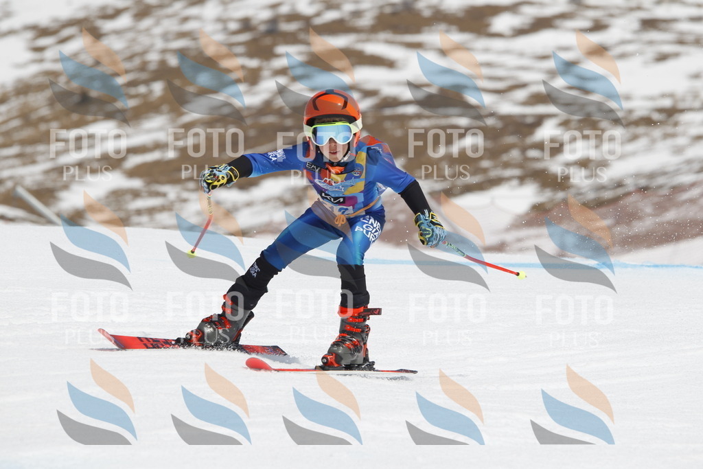 _U3G2248 | holidayphoto