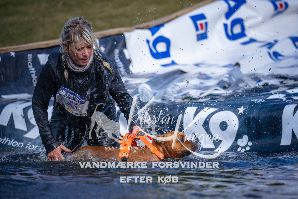 _ZZ987410809 | kk-dogfotos