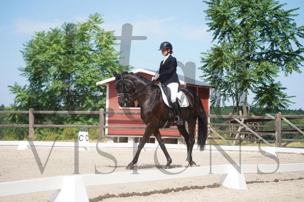 tgbhsonntag (889) | d.tail Visions - Shop - Realisiert mit Pictrs.com