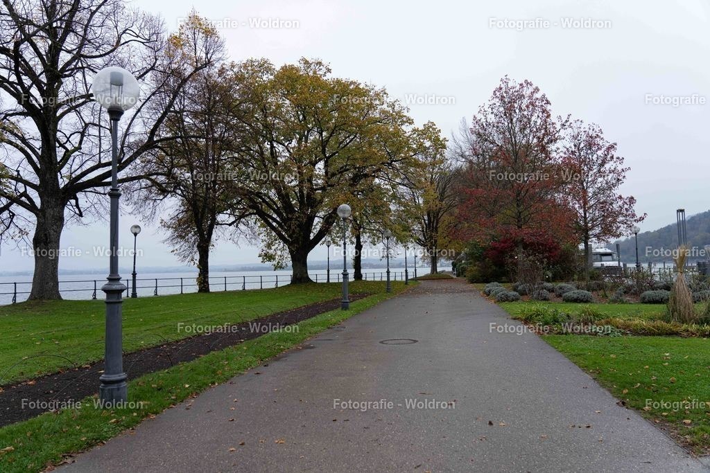 20221109 Bregenz-8 | Fotografie Woldron