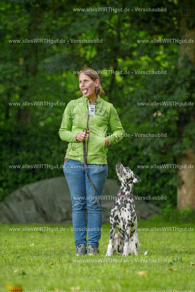 @allesWIRTHgut_Tierfotografie - www.allesWIRTHgut.de - 135002-7R500027 | Professionelle Tierfotografie in Mönchengladbach von Daniel Wirth (allesWIRTHgut). Liebevolle & natürliche Bilder von Hunden & Katzen für unvergessliche Erinnerungen.