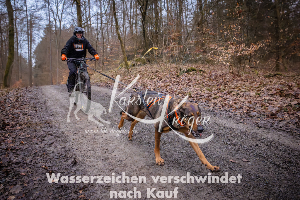 0807_ZZ94332 | kk-dogfotos