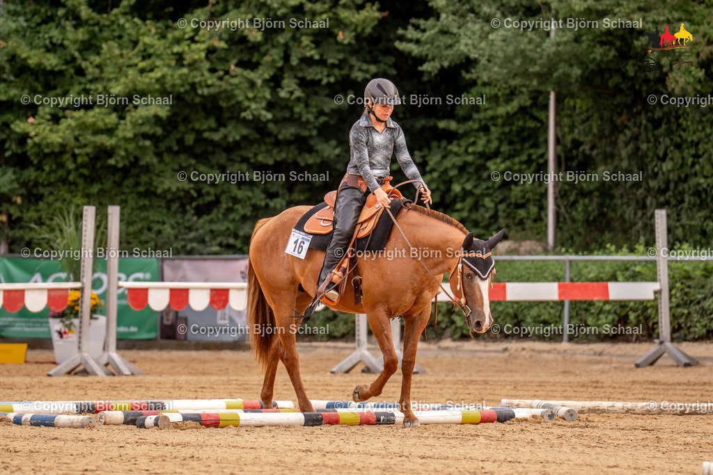 LMS07747 | BS-foto