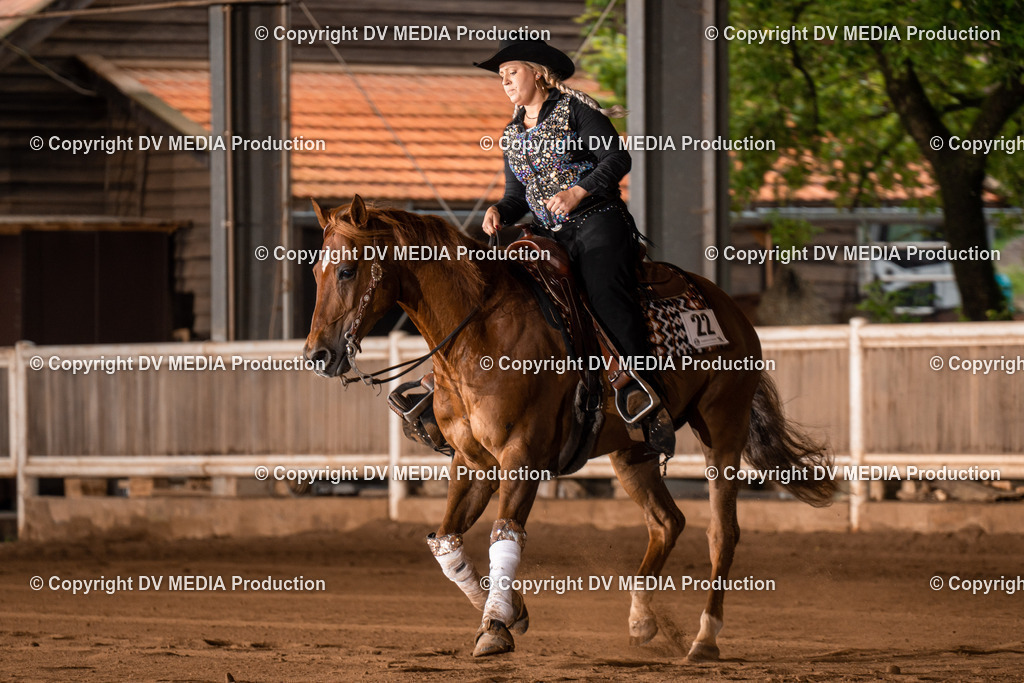 Erbach Tag 3-776 | dv-media-shop - Realisiert mit Pictrs.com