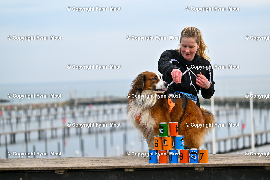 DSC_4164 | Hallo und herzlich Willkommen auf meiner Shop-Seite Fynn Most.

Ich wünsche Dir viel Spaß beim stöbern durch die Bilder, wenn Du Fragen hast oder Bilder vermisst, kannst du mir gerne eine Nachricht schreiben. - Realisiert mit Pictrs.com