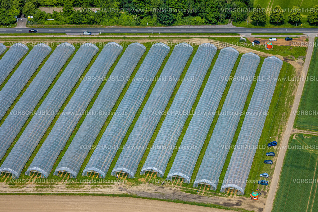 Dortmund240507382 | Erdbeerfelder mit Schutzabdeckung, Erdbeeranbau unter Folie, Bönninghauser Straße, Luftbild, Hostedde, Dortmund, Ruhrgebiet, Nordrhein-Westfalen, Deutschland