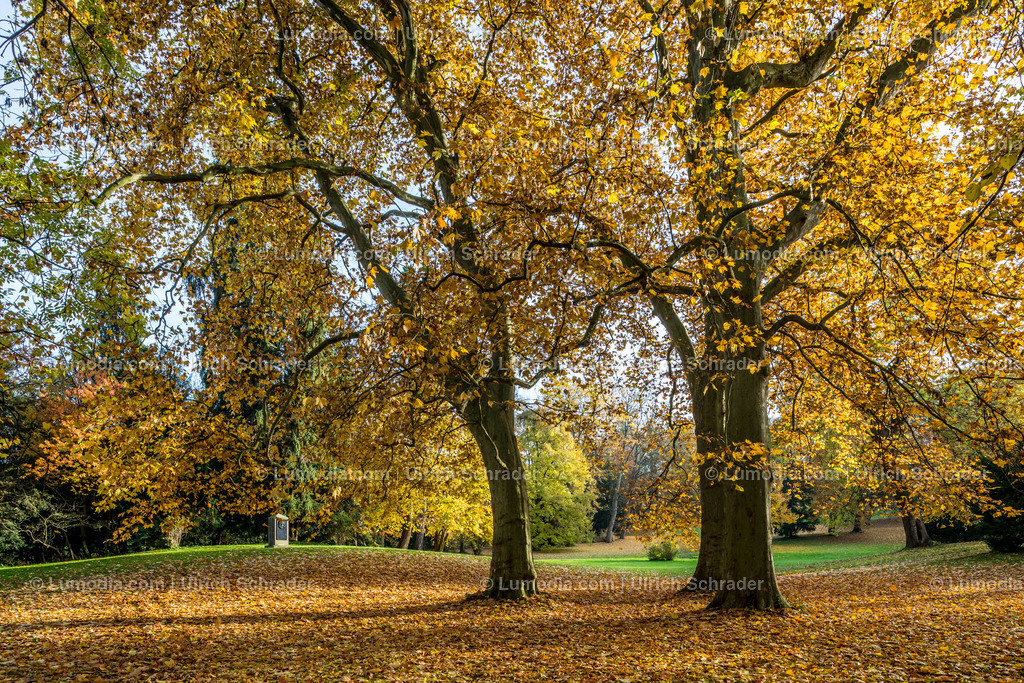 10049-4612 - Schloßpark Ballenstedt | Stockfoto und Bilderpool mit Bildmaterial aus Deutschland, dem Harz, Halberstadt, Quedlinburg, Wernigerode und weltweit. Qualitativ hochwertige und professionelle Fotos anschauen und kaufen. - Realisiert mit Pictrs.com