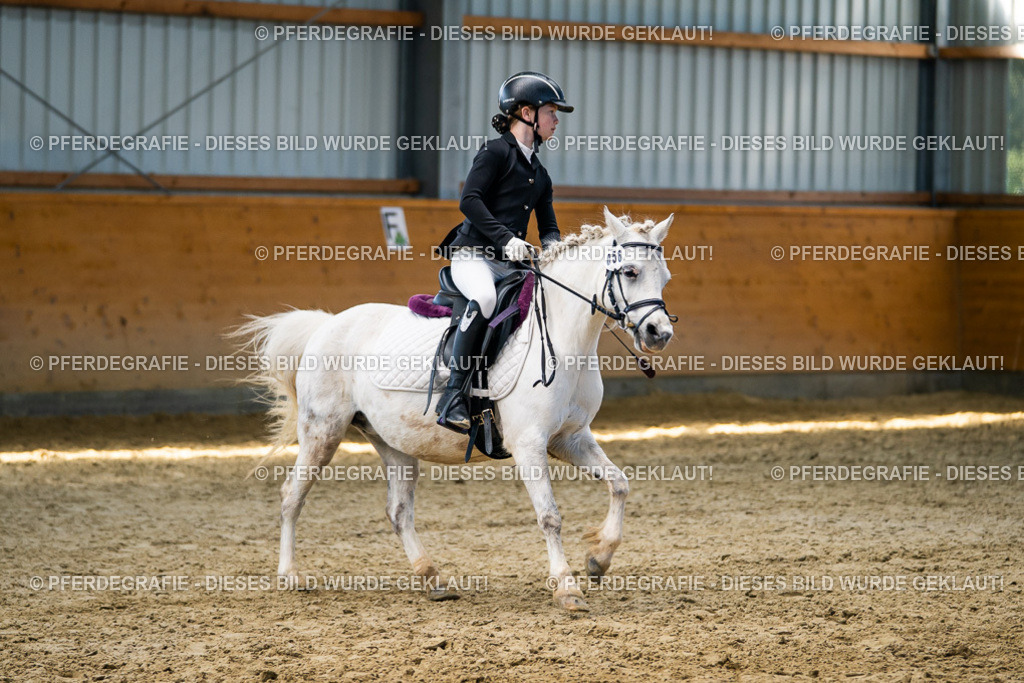 DSC02290 | Pferdegrafie