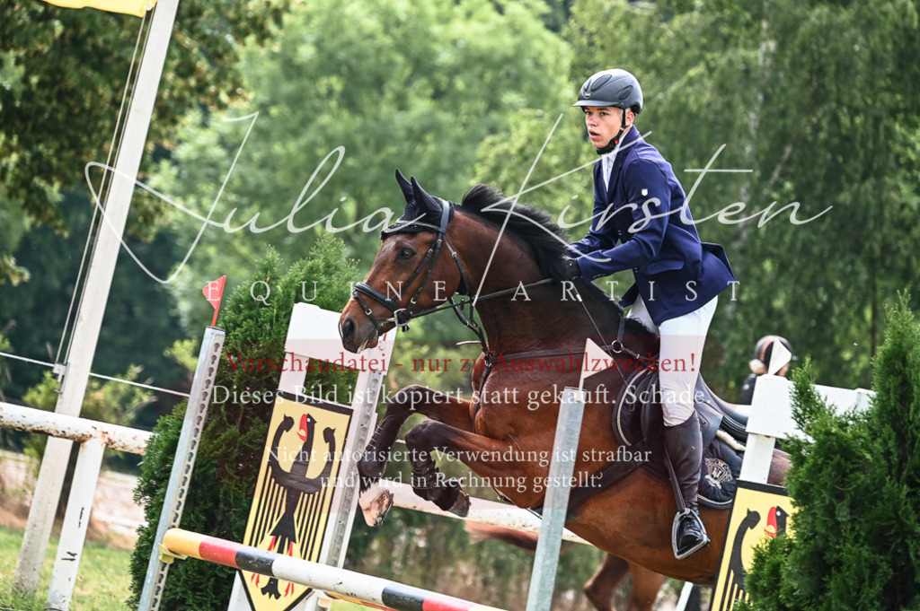 DSC_8399 | Pferde- und Turnierfotografie in Westsachsen. Pferdeportraits, Auftragszeichnungen und intuitive Kunst.