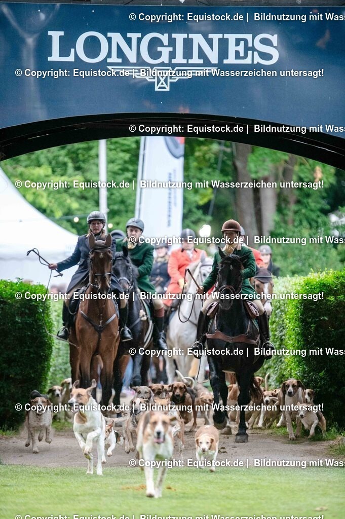 20250606_Lange-Pferdenacht_0456 | Foto: Thomas Hartig