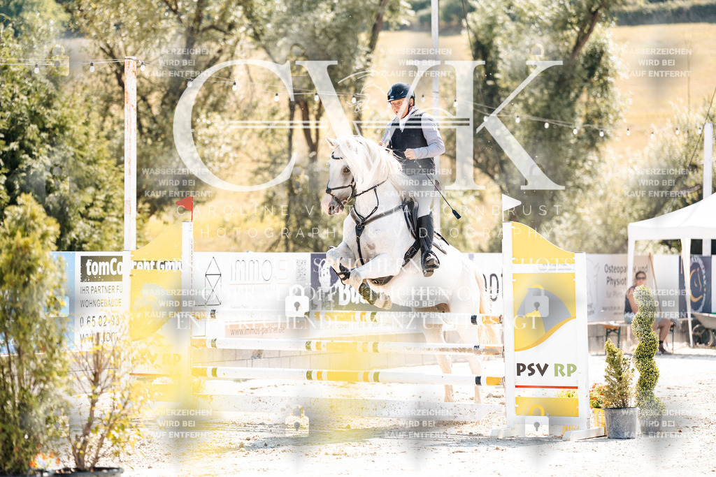 CK909006 | Turnierfotografie Pferdefotografie Trier Rheinland-Pfalz Pferdesport Reitsport Tierfotografie Sportfotografie Pferdevideo Pferdevideografie Equestrianvideography equestrianphotography  - Realisiert mit Pictrs.com