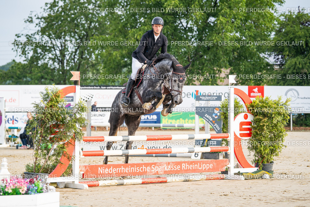 DSC07661 | Pferdegrafie