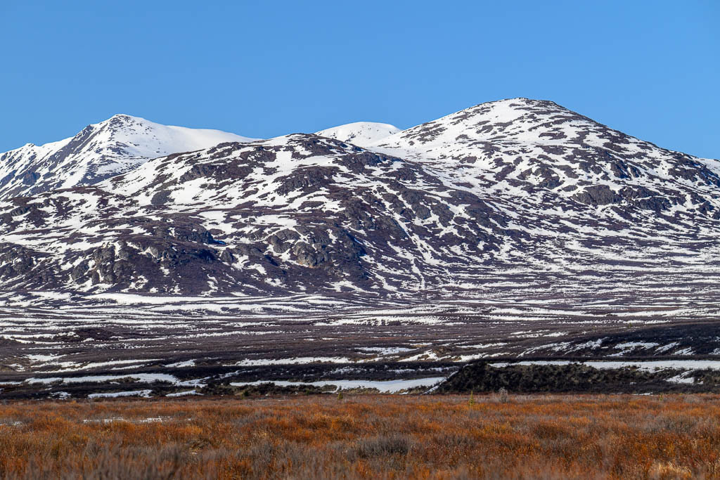 Alaska | Denali Highway - Realisiert mit Pictrs.com