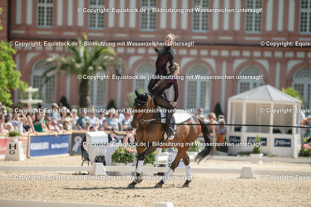 20230528_Voltigieren_NASPA_0250 | equistock