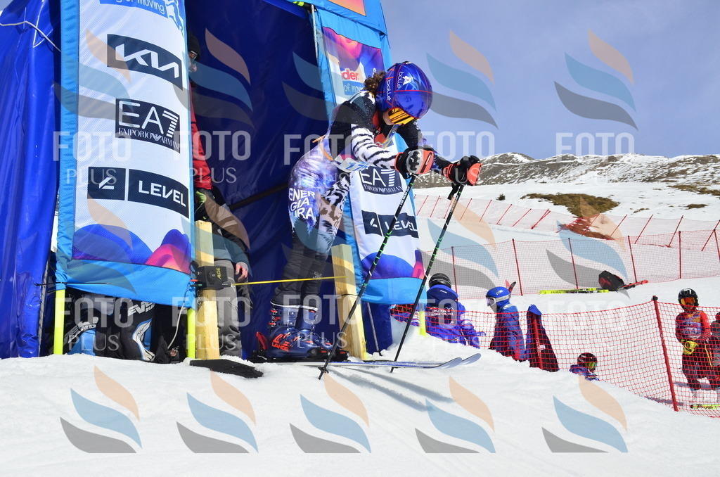 _ELE1178 | holidayphoto