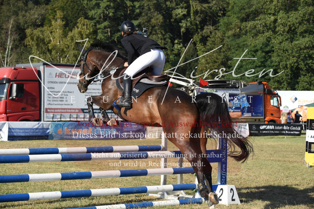 DSC_5129 | Pferde- und Turnierfotografie in Westsachsen. Pferdeportraits, Auftragszeichnungen und intuitive Kunst.