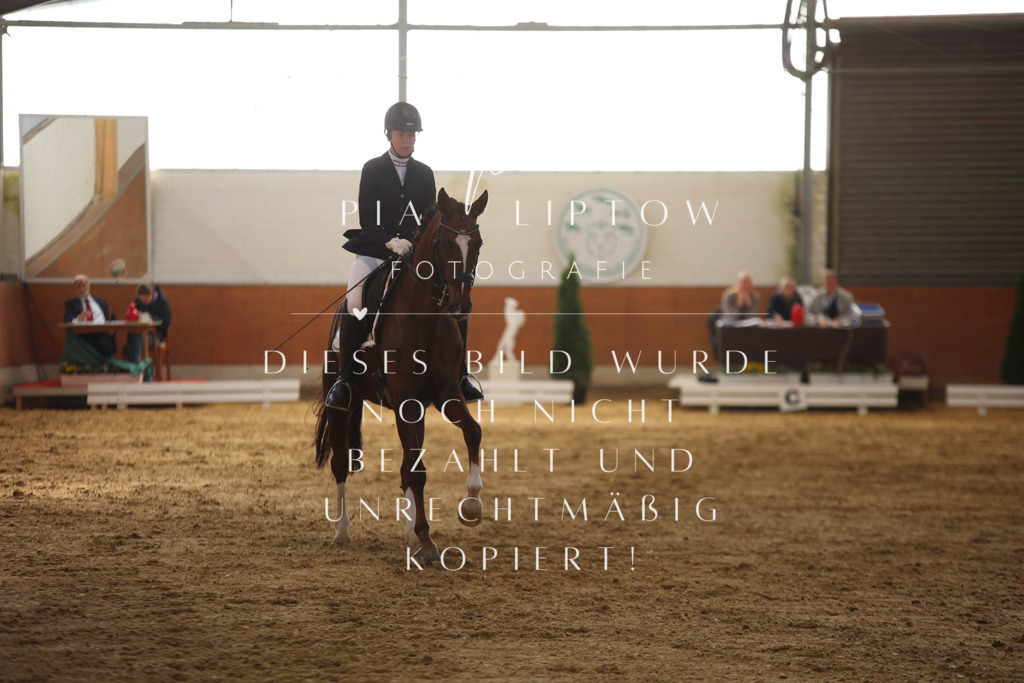 IMGT9880 | pl-fotografie