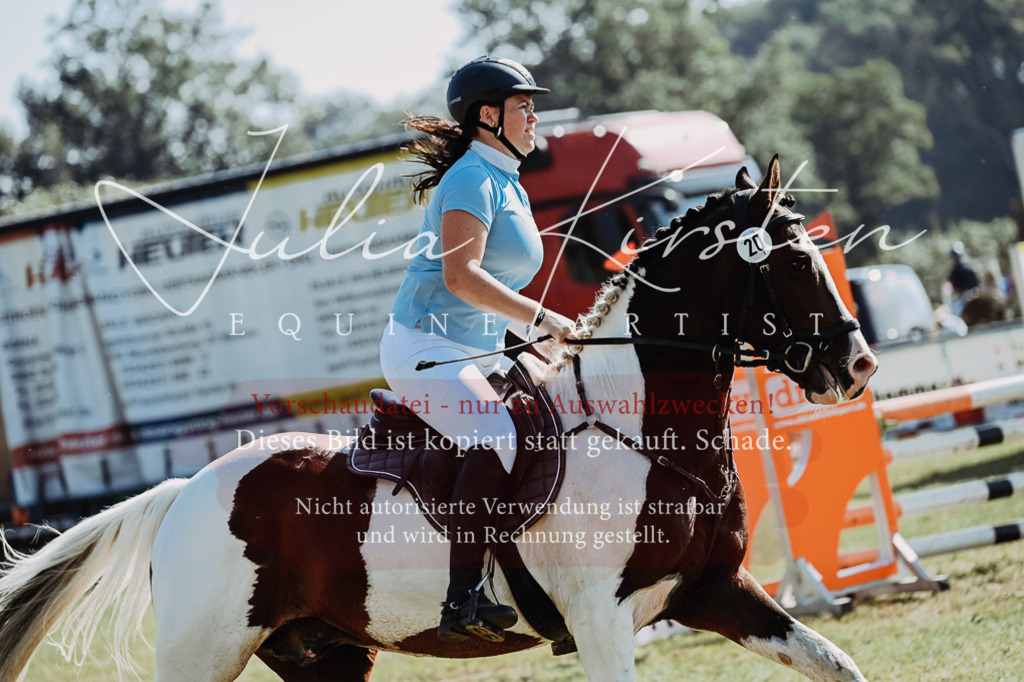 DSC_5466 | Pferde- und Turnierfotografie in Westsachsen. Pferdeportraits, Auftragszeichnungen und intuitive Kunst.