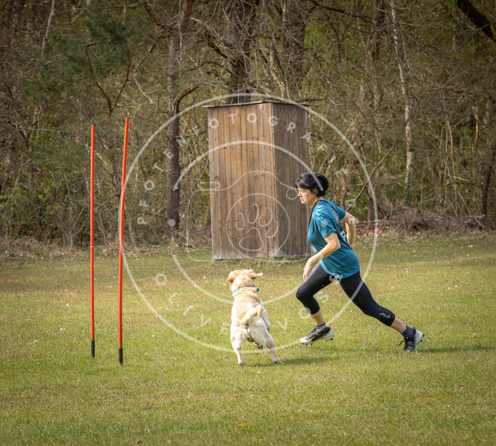 Pfotenfotografie_DV3A7318 | Hundefotografie, Tierfotograf, Pfotenfotografie, Fotoshooting Hund, Hunde Portrait, Hundesport, Hundeportraits, Heideshooting, Hunde, Sportfotograf, Hundefotograf, Turnierhundsport, THS,  - Realisiert mit Pictrs.com