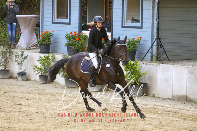 DKP42758 | Turniersportfotografie; Pferdefotografie; Dressurfotografie