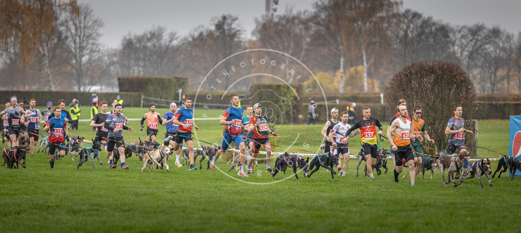 CaniXpix_DV3A9437 | Hundefotografie, Tierfotograf, Pfotenfotografie, Fotoshooting Hund, Hunde Portrait, Hundesport, Hundeportraits, Heideshooting, Hunde, Sportfotograf, Hundefotograf, Turnierhundsport, THS,  - Realisiert mit Pictrs.com
