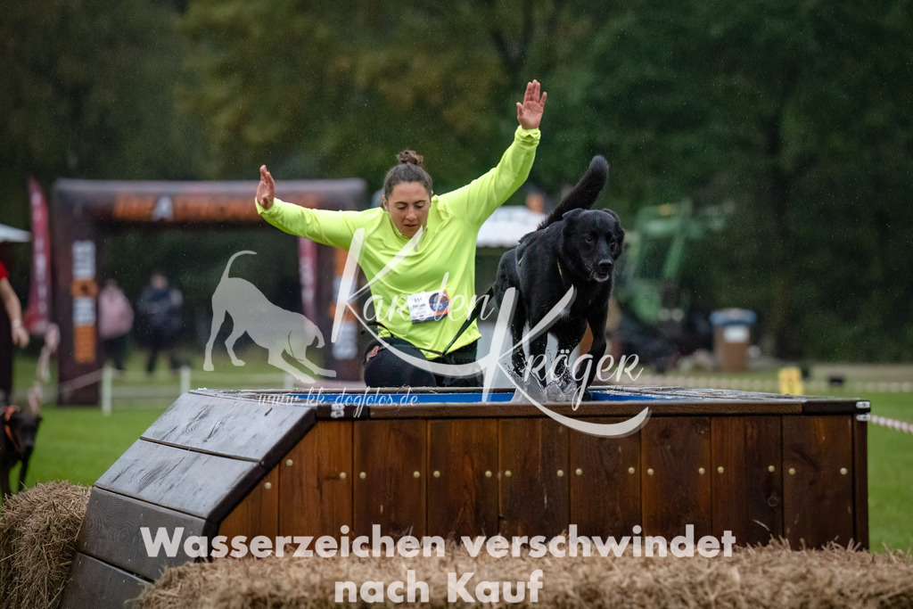 0821-_ZZ91059-Bearbeitet-Bearbeitet | kk-dogfotos
