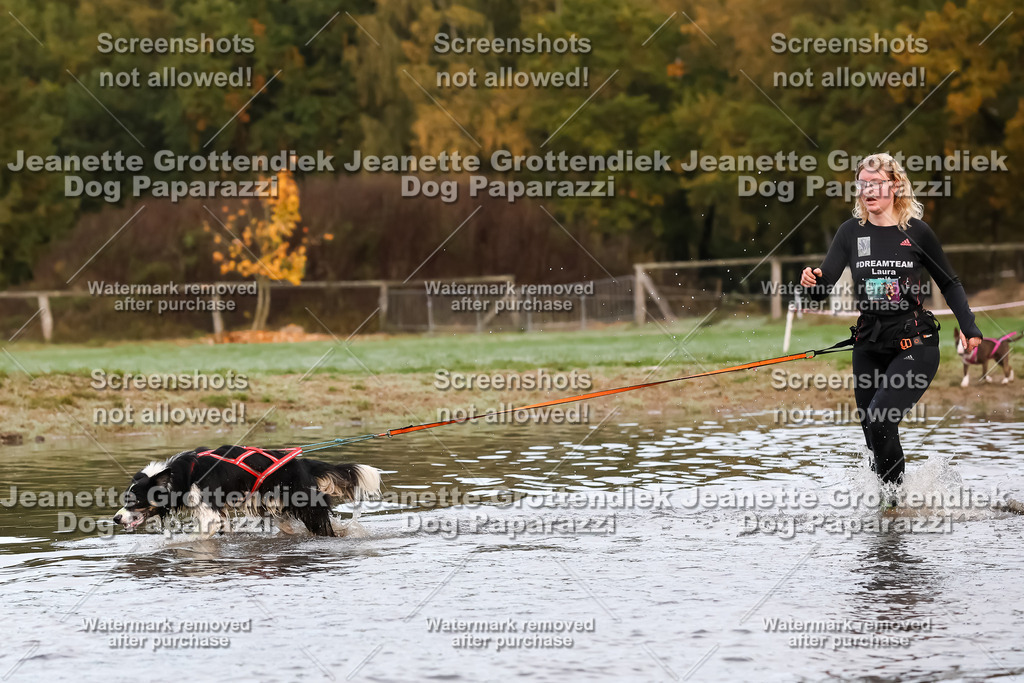 Dog Paparazzi - Strongdog 10-25-6408 | Dog Paparazzi Jeanette Grottendiek Fotografie & Videografie