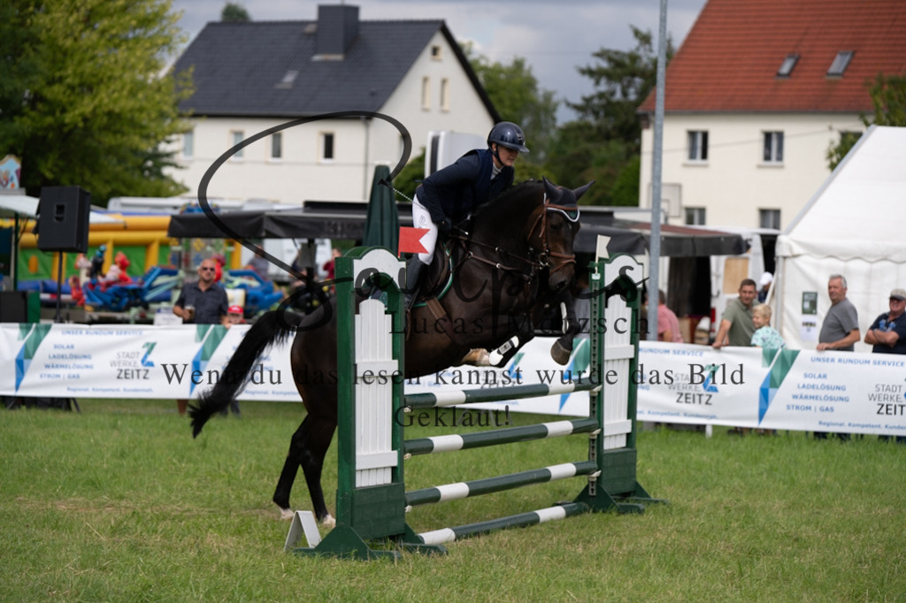 A7V03977 | Pferdefotograf