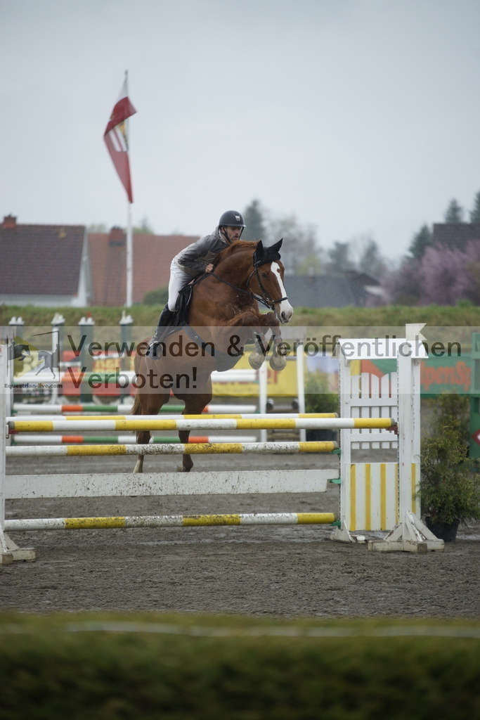 _DSC6232 | equestrian-live-com