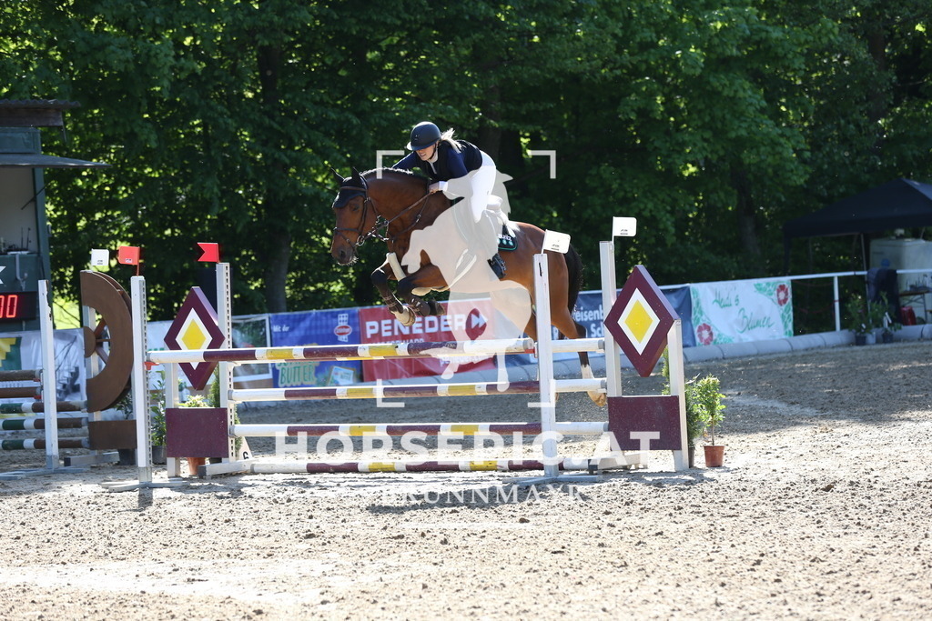 DL2Q2511 | Willkommen bei Brunnmayr - Design & Fotografie – Ihrem Spezialisten für Reitturniere und Pferdeveranstaltungen in Oberösterreich, Salzburg und Bayern! Seit über 17 Jahren sind wir leidenschaftlich dabei.