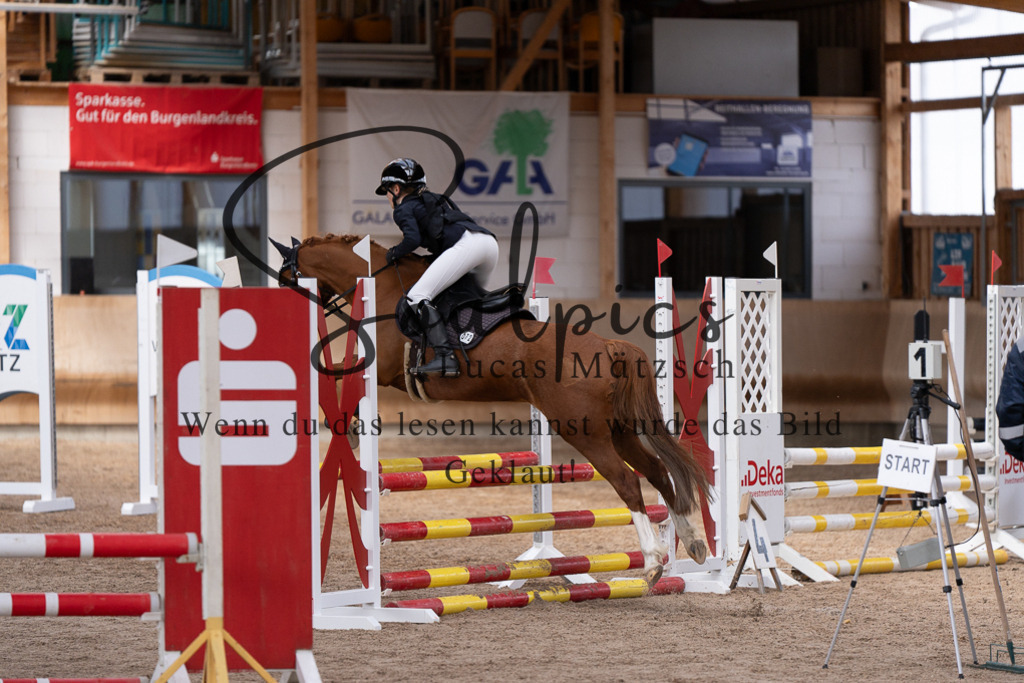 A7507481 | Pferdefotograf