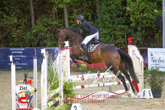 DKP42813 | Turniersportfotografie; Pferdefotografie; Dressurfotografie
