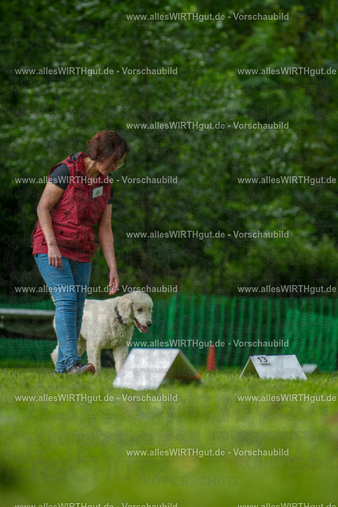 @allesWIRTHgut_Tierfotografie - www.allesWIRTHgut.de - 7R505245 | Professionelle Tierfotografie in Mönchengladbach von Daniel Wirth (allesWIRTHgut). Liebevolle & natürliche Bilder von Hunden & Katzen für unvergessliche Erinnerungen.