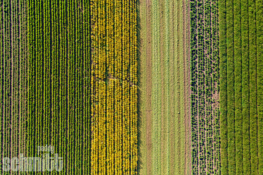 PS-Aerials-2026-22 | Entdecke die größte Bildgalerie der Region mit Fotografien aus dem Allgäu, der Bodenseeregion, Oberschwaben, dem Donautal und der Schwäbischen Alb. Landschaften, Luftaufnahmen und Reisefotografie als Wandbild und Fotokunst. - Realisiert mit Pictrs.com