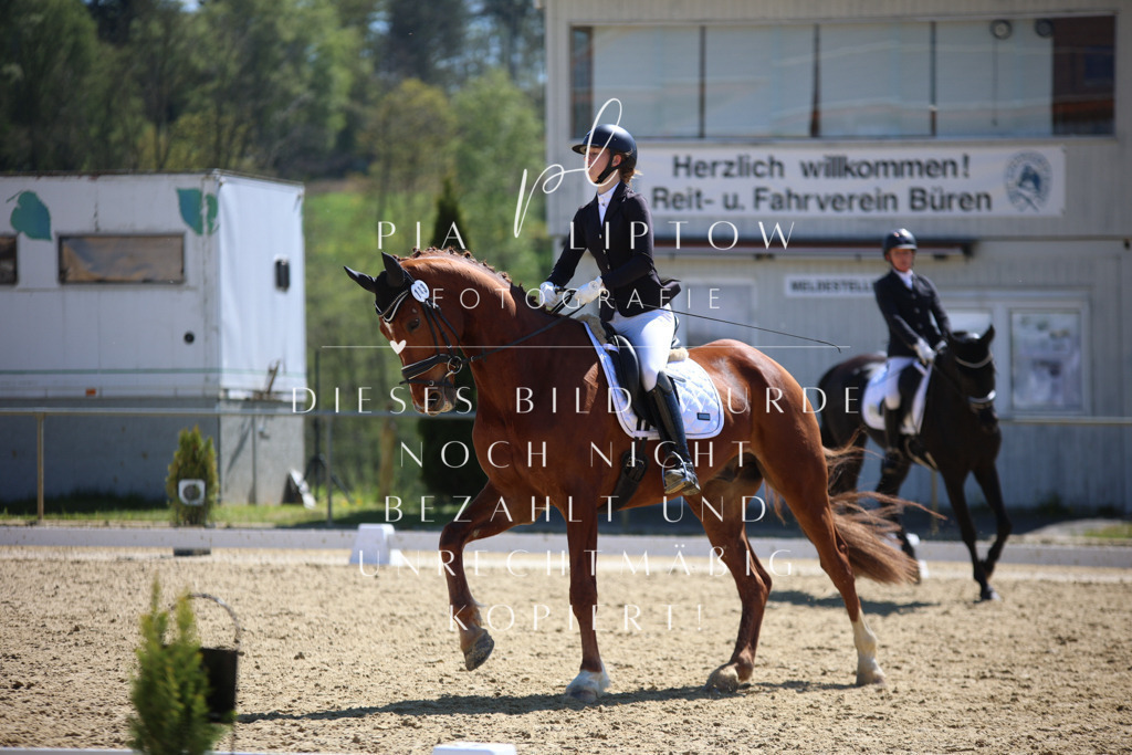 IMGT1419 | pl-fotografie