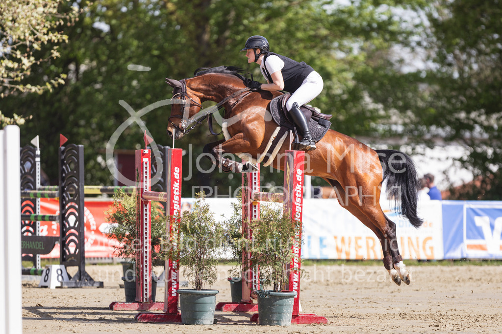 260503_Spenge_7_M2-Spr-m-steig-Anf-755 | Deine schönsten Turniermomente als professionelle Fotos! Entdecke hochwertige Pferdesport-Fotografie im Online-Shop. Jetzt Fotos finden & bestellen!
