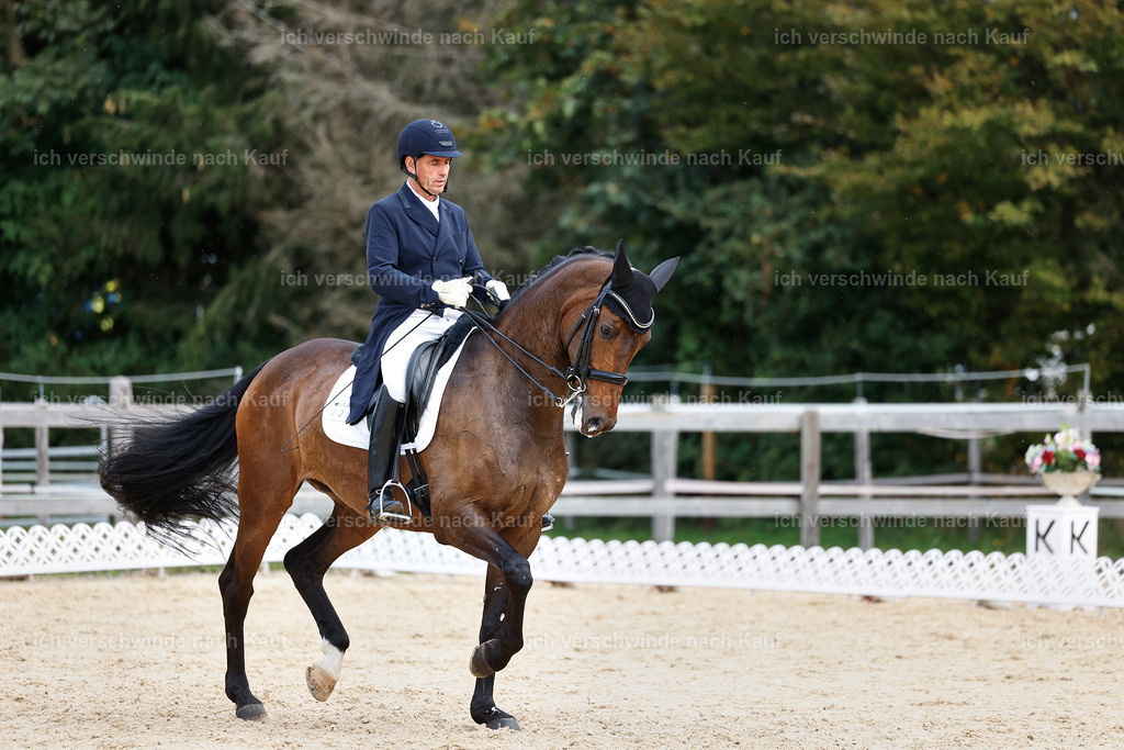 11-226-Dressur S___-StoibPH-1033 | working equitationturnier fotograf videograf stoibphotography marixx film working equitation deutschland reitsport turnierfotografie eventfotografie equestrian events