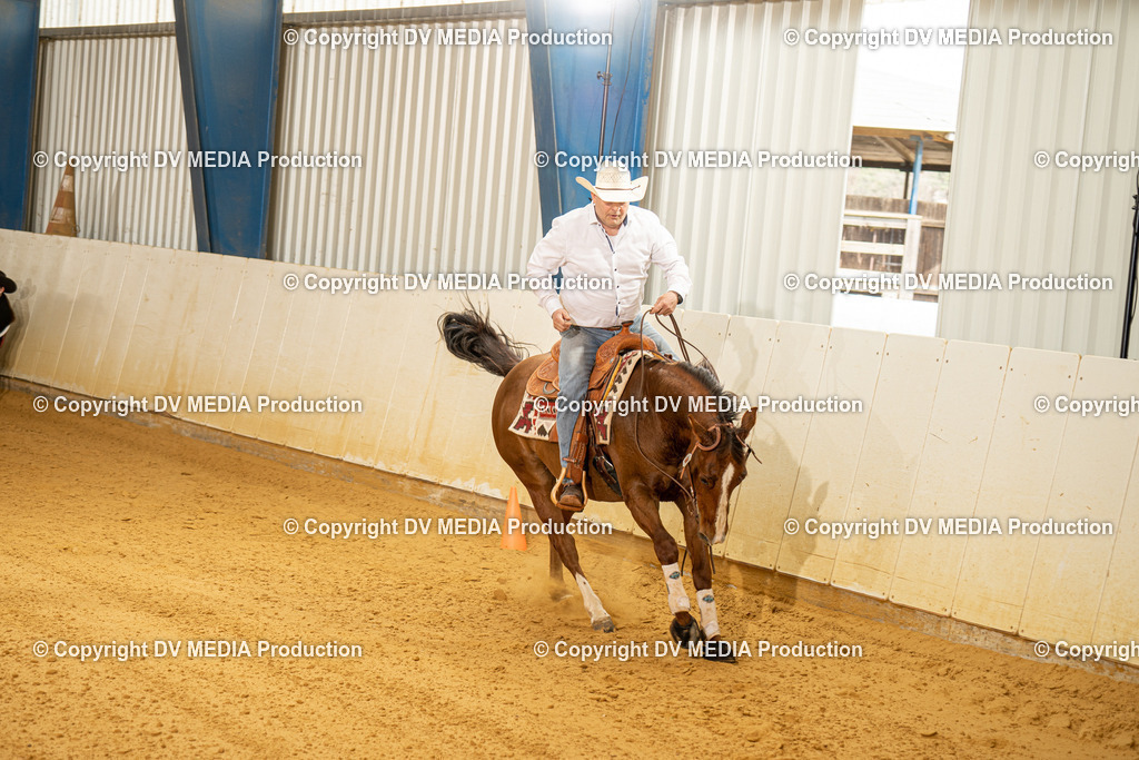 MIT00158 | dv-media-shop - Realisiert mit Pictrs.com