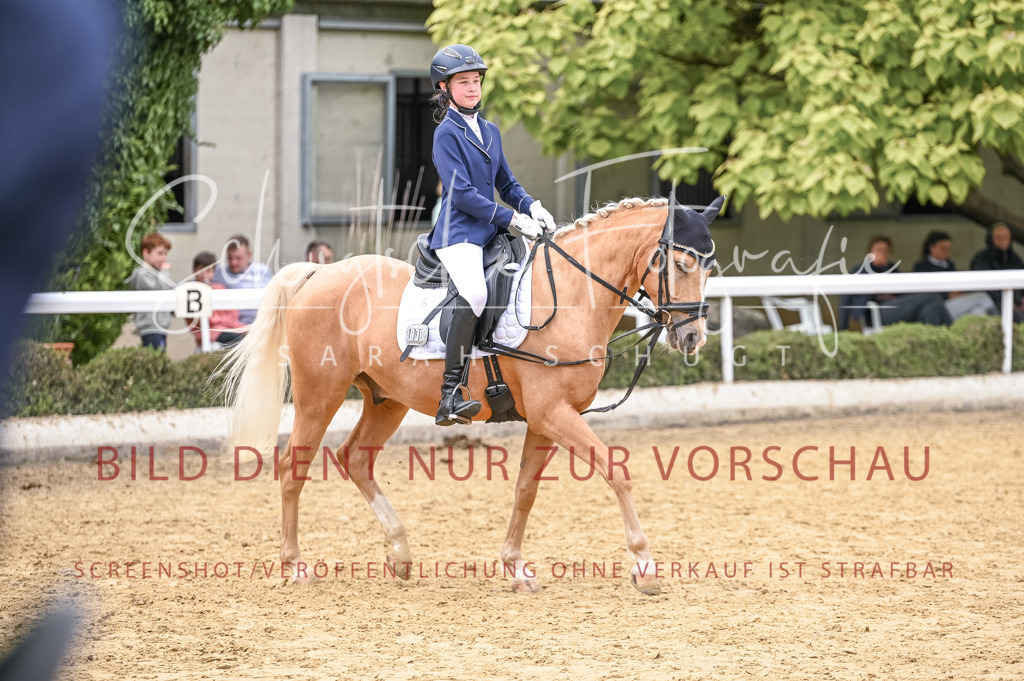 Schugtsche-Aluta25-47.ReiterWB_ST-31 | Schugtsche Fotografie - Realisiert mit Pictrs.com