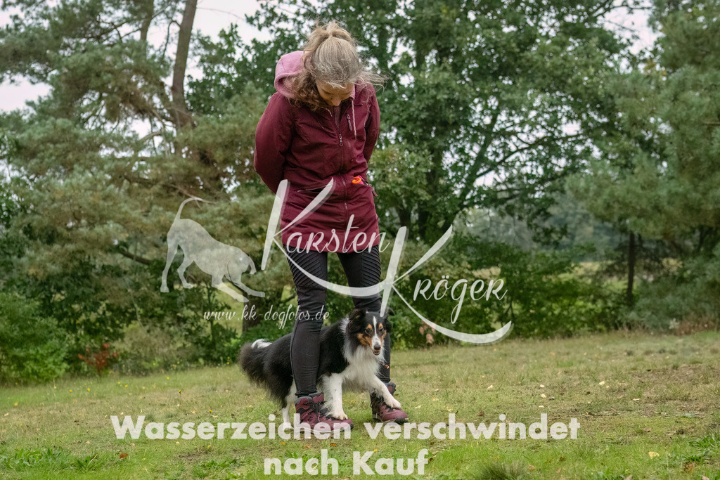 1021_ZZ91973-Bearbeitet | kk-dogfotos