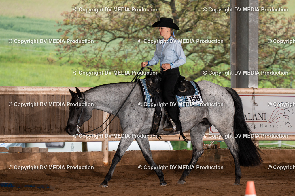 Erbach Tag 3-138 | dv-media-shop - Realisiert mit Pictrs.com