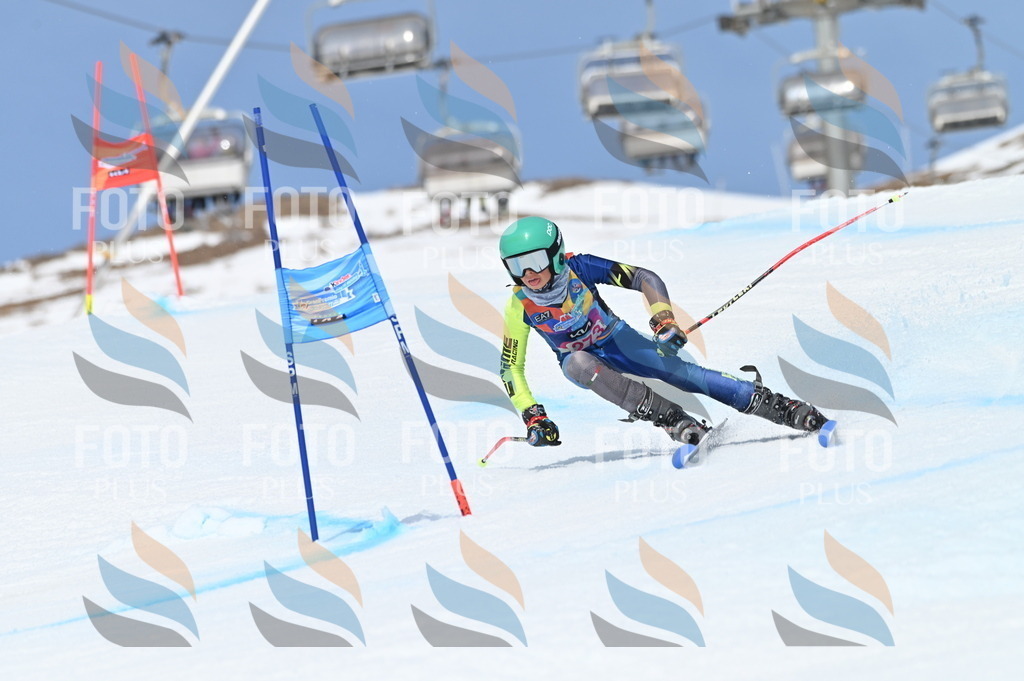 BGV_2311 | holidayphoto