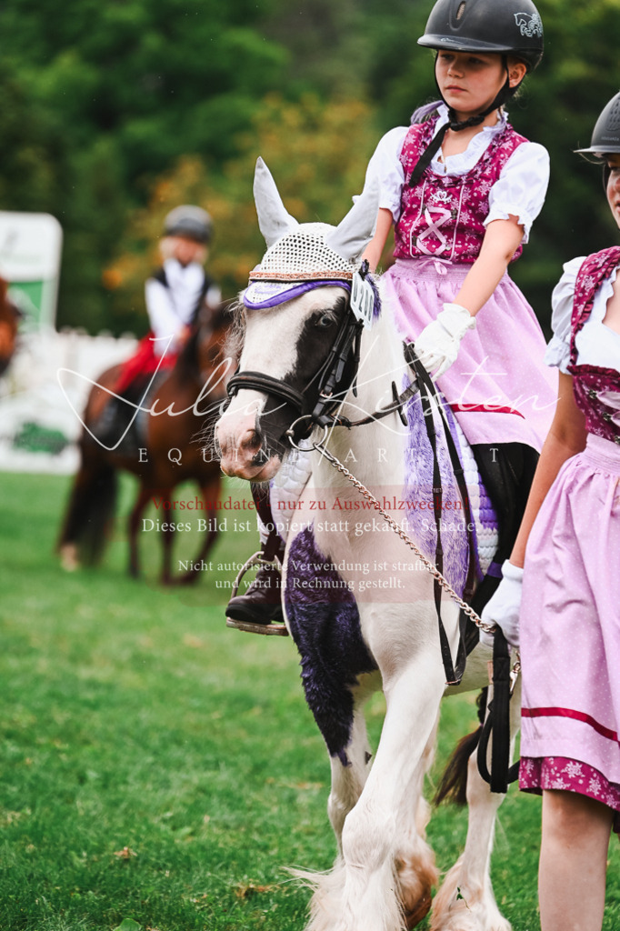 DSC_7337 | Pferde- und Turnierfotografie in Westsachsen. Pferdeportraits, Auftragszeichnungen und intuitive Kunst.